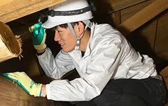 害獣のトラブルすぐ駆けつけ！ 修理の窓口 害獣駆除ならお任せください！無料相談対応！地域最安値に挑戦中、再発保証最大10年 明朗会計で追加費用一切なし 見積・出張費用無料 駆除費用4.400円～
