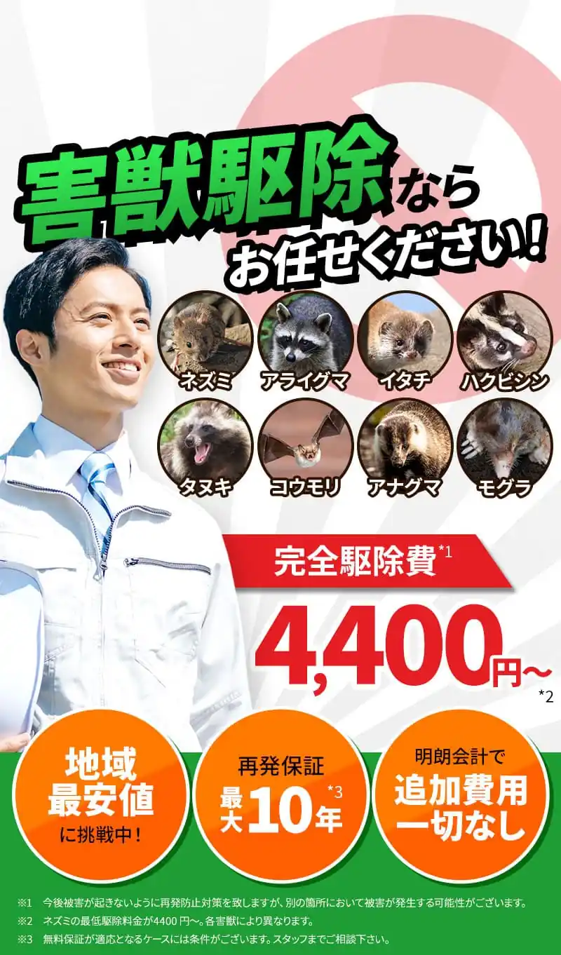 害獣駆除ならお任せください！ 完全駆除費 4,400円～ 地域最安値に挑戦中 再発保証最大10年 明朗会計で追加費用一切なし